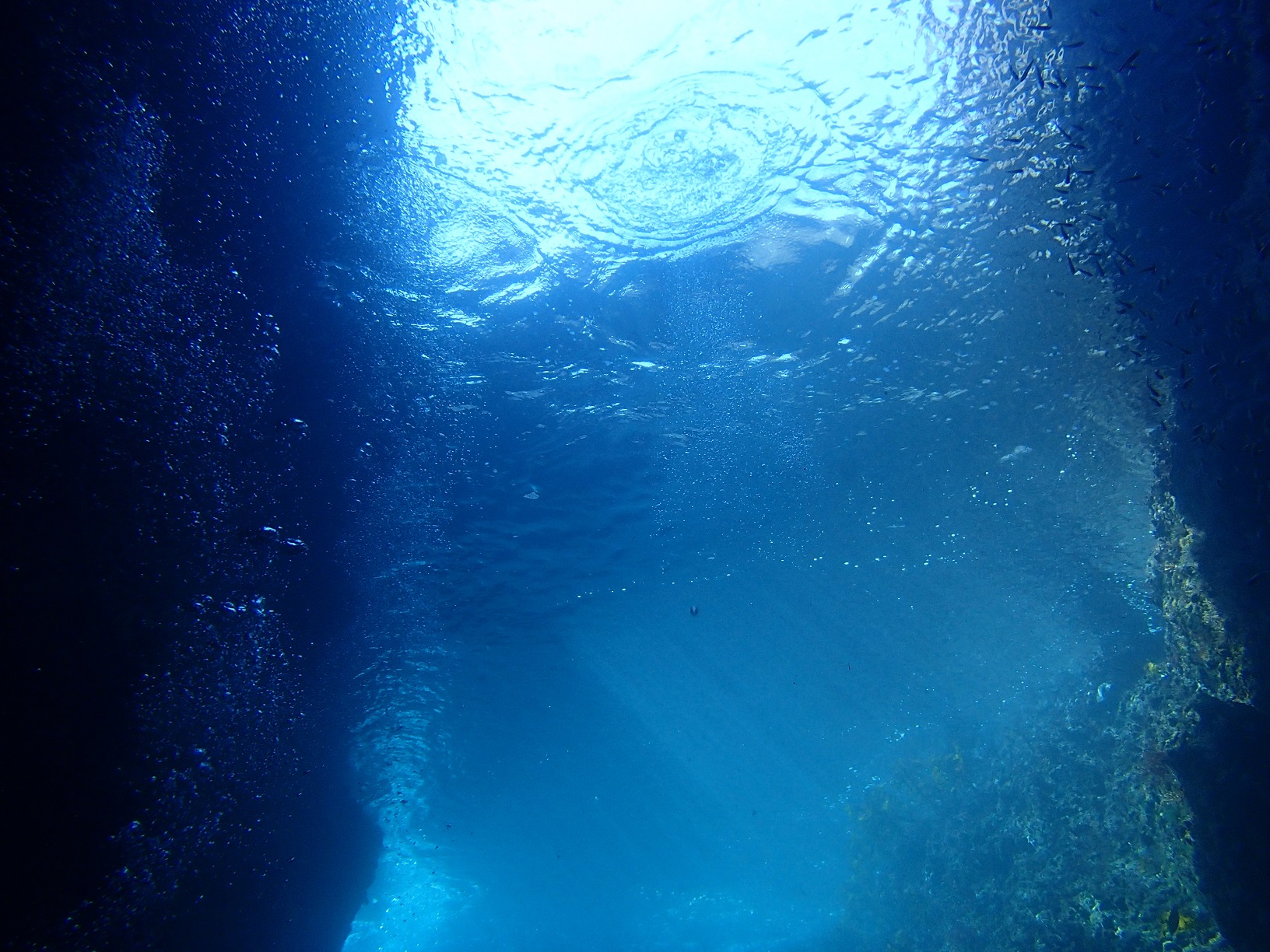 海中から見た『青の洞窟』。ダイバー目線の洞窟内の光のグラデーションは青く、海面が揺らめくたびに光が揺らめき、陸上では拝めない美しい世界。場所は『熱海』。世界各地、日本各地に『青の洞窟』は点在している✨