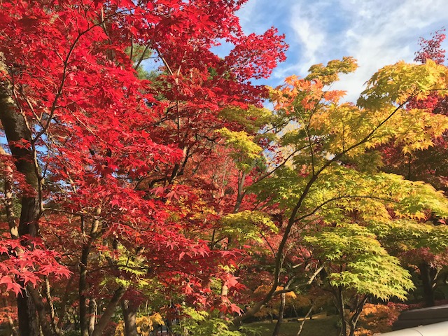 季節の移り変わり　陸編