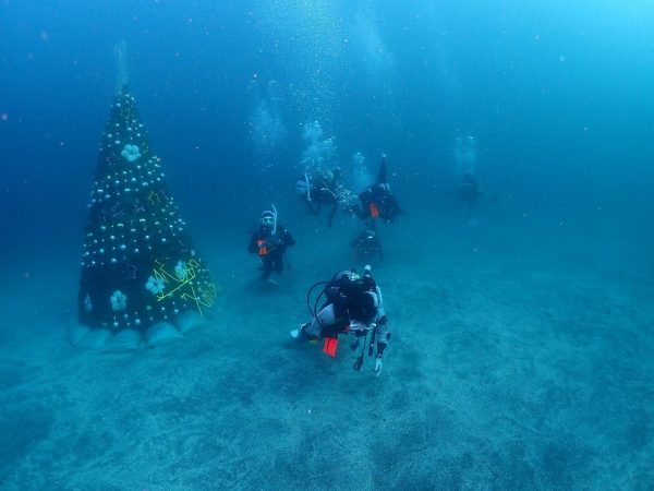 水中のクリスマスツリーの横を泳ぐダイバーたち