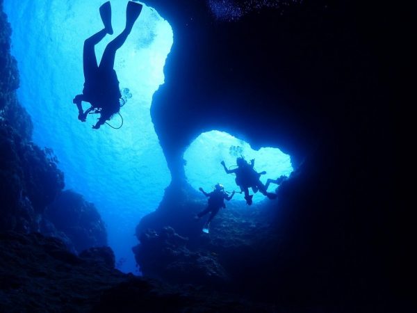 海の中で複数のダイバーを下から撮影した写真