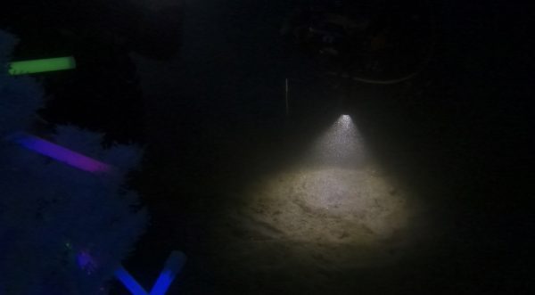 夜の水中で海中ライトを照らしている様子