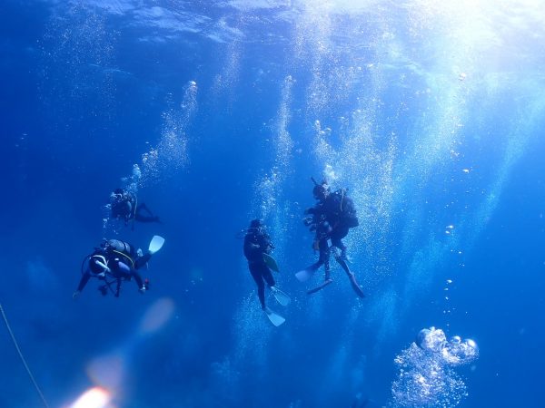 海の中で泳いでいる4人のダイバー