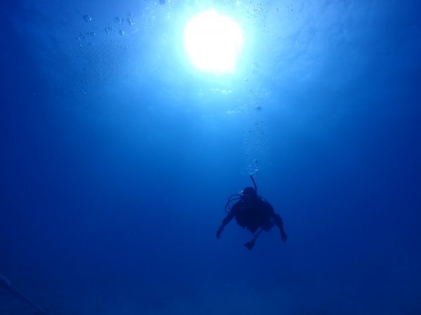 ダイバーが海の中で中性浮力をとっている様子