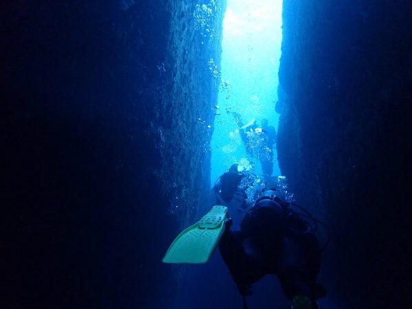 海の中の地形をダイバーが潜っている様子