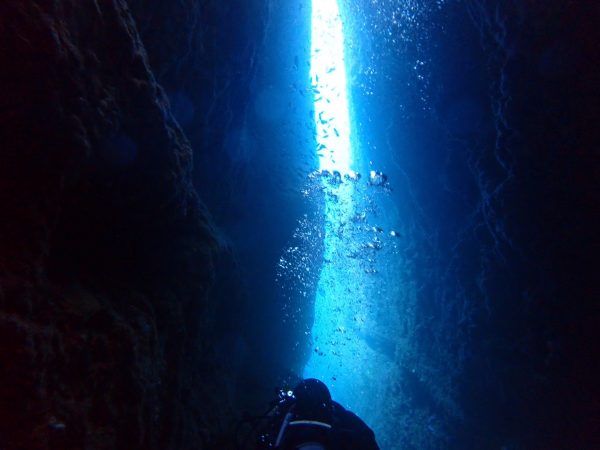 海の中の地形の間をダイバーが通っている様子