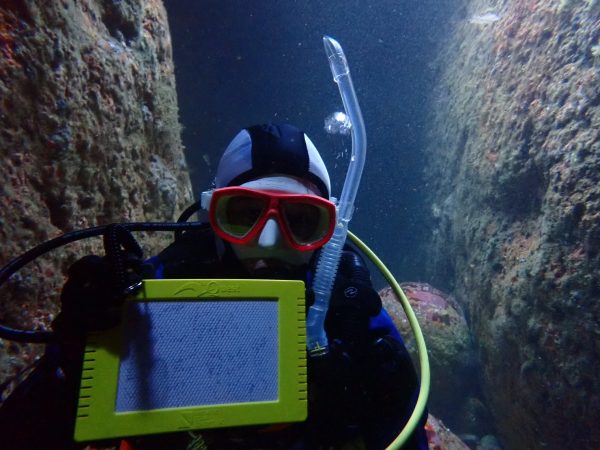 水中でダイビング50本記念をお祝いする写真