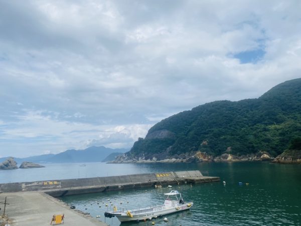 陸から雲見の海の様子を撮影した様子