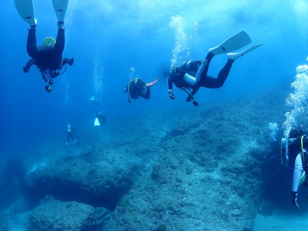 海の中で複数のダイバーが泳いでいる様子