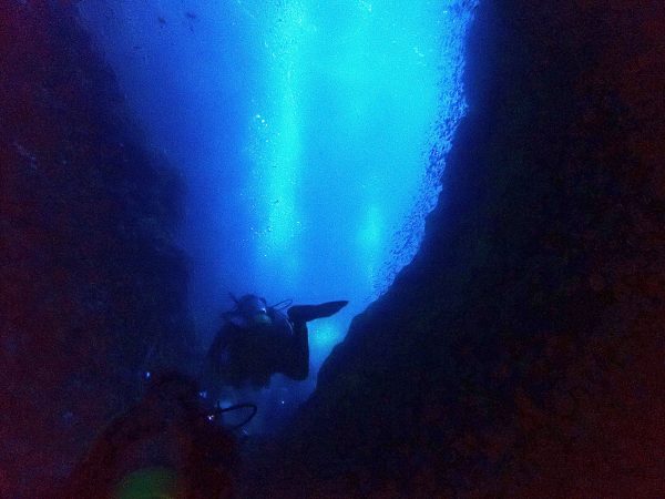 洞窟の中を泳ぐダイバー