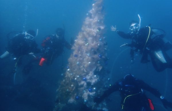 海の中にあるクリスマスツリーと一緒に映るダイバー