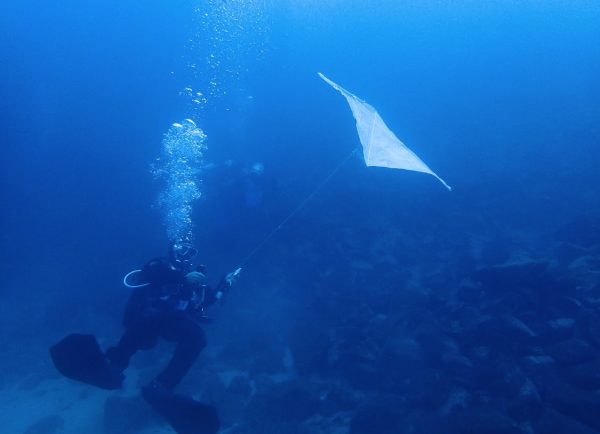 海の中で凧揚げをするダイバー