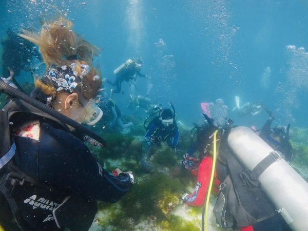 魚を指さすダイバー
