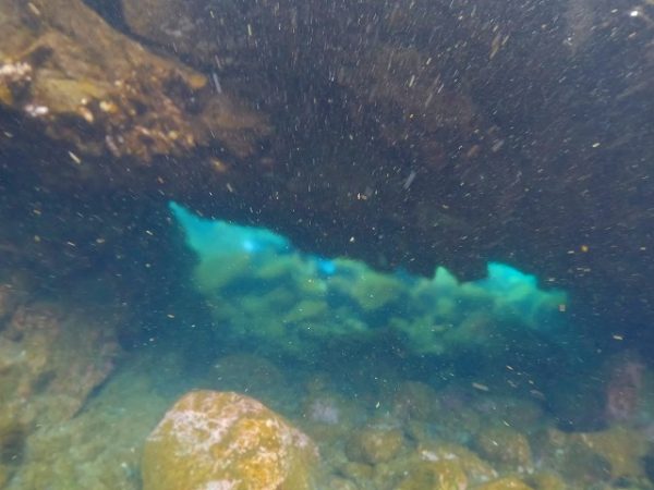 水中アーチ