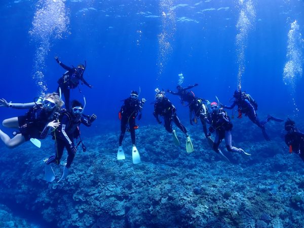 海の中で集合写真を撮るダイバー