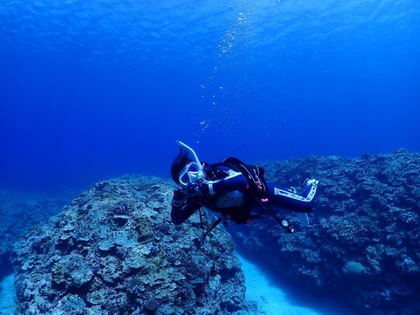 女性ダイバーが水中で泳いでいる様子