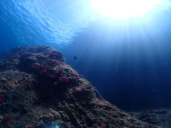 雲見の海