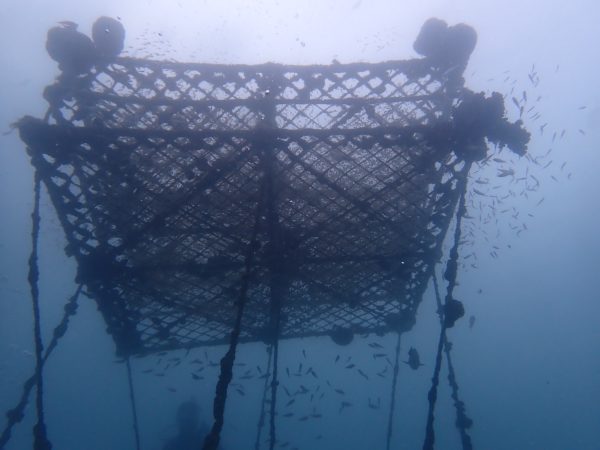 水中櫓