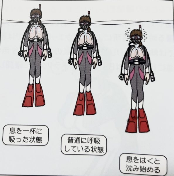 教科書の写真