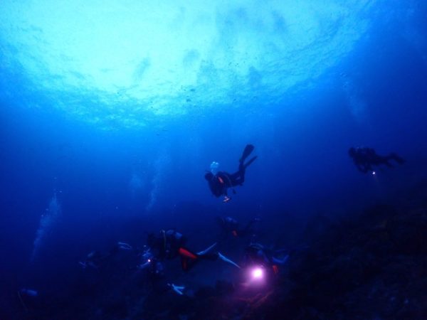 海の中で泳ぐダイバー