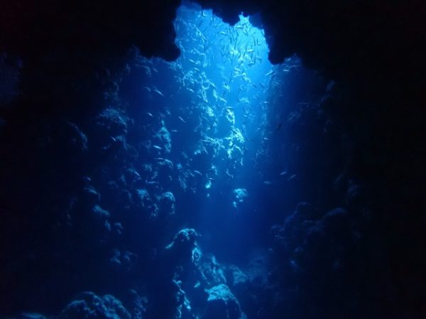 出口から光が差し込む水中洞窟