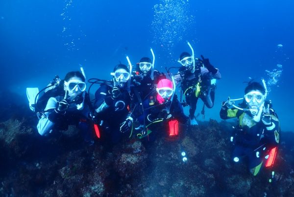 水中ので複数の女性ダイバーが集合写真