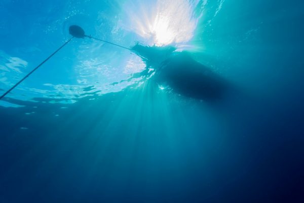 水中から見上げて見える船底
