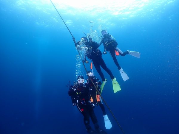 浮上途中のダイバー