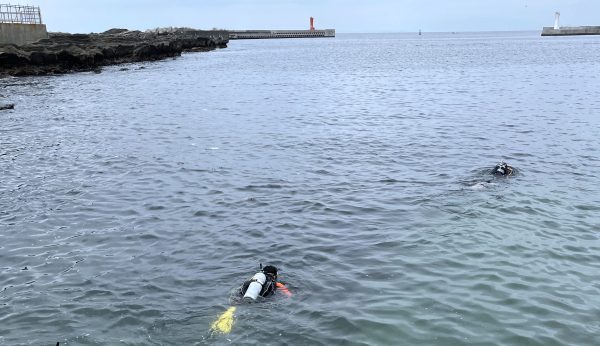 水面を泳ぐダイバー2名