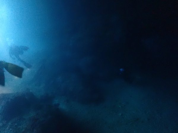 靄がかかっている水中